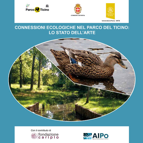 Connessioni ecologiche nel Parco del Ticino: lo stato dell’arte